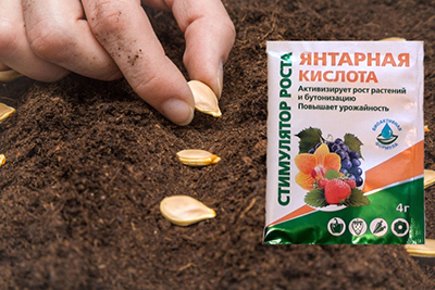 янтарная кислота